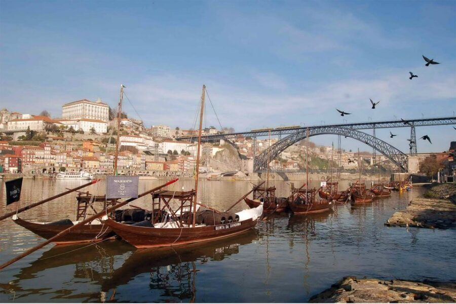 From Lisbon: Porto Full-Day Private Tour - Panoramic Porto from the vehicle: landmarks you’ll recognize later