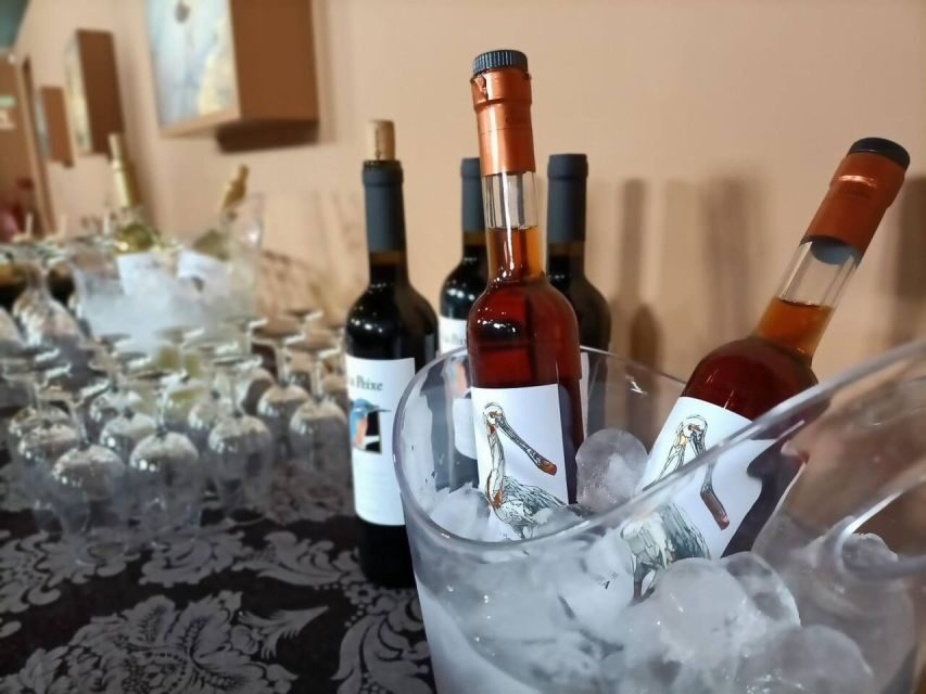 From Lisbon: Private Scenic Wine Tour in Arrabida - Van rules and timing: how the day stays comfortable