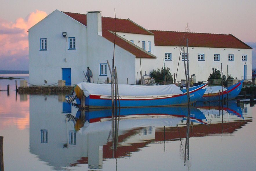 From Lisbon: Private Scenic Wine Tour in Arrabida - Price and logistics: who gets the best value from this tour