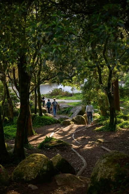 From Lisbon - Regaleira, Cabo da Roca, Forest & True Sintra - Enchanted forest vibes and secret viewpoints