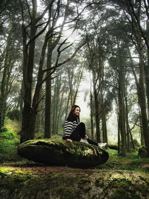 From Lisbon - Regaleira, Cabo da Roca, Forest & True Sintra - Who this tour is best for (and who should skip it)
