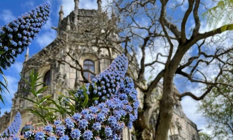 From Lisbon: Sintra, Pena Palace and Regaleira Day Trip - Pena Palace: exterior terraces, wall walk, and big views