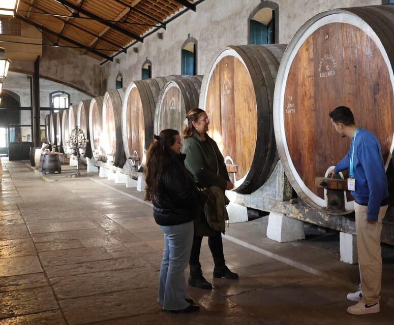 From Lisbon: Sintra, Pena Palace, Cascais and Wine Tasting - Parque Eduardo VII to Sintra: start time and why it matters