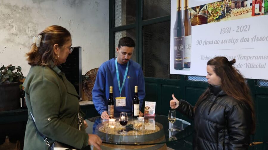From Lisbon: Sintra, Pena Palace, Cascais and Wine Tasting - Small tips that make a big difference