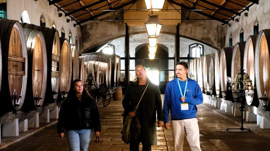From Lisbon: Sintra, Pena Palace, Cascais and Wine Tasting - Sintra’s historic center and the climb into the mountains