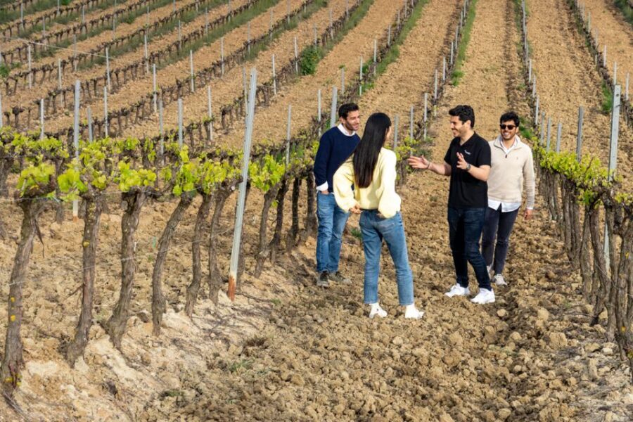 From Lisbon: Sintra & Pena Palace Day Trip with Wine Tasting - Sintra and Pena Palace: why this tour works as a half-day