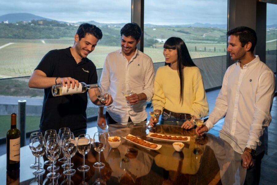 From Lisbon: Sintra & Pena Palace Day Trip with Wine Tasting - Getting there and timing: the 6.5-hour rhythm from Lisbon