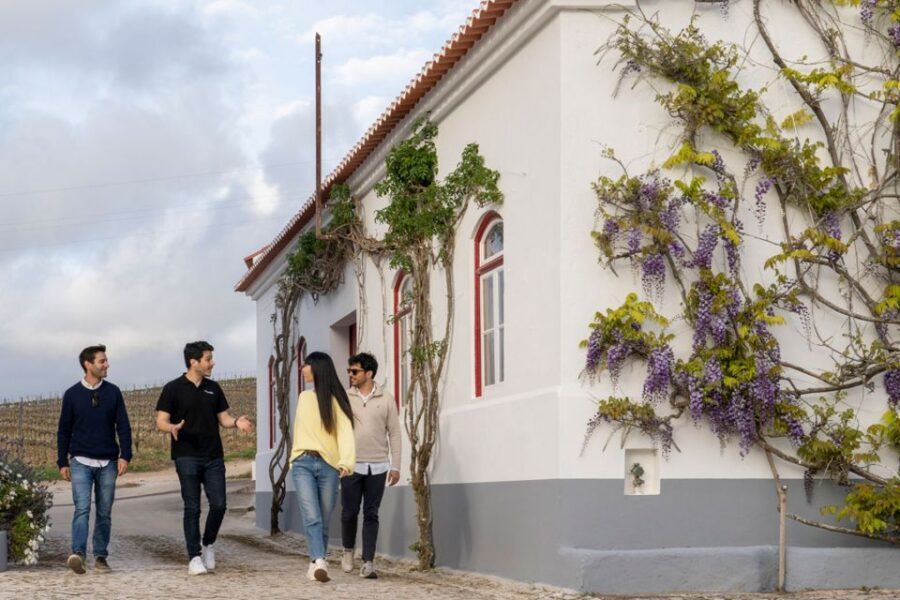 From Lisbon: Sintra & Pena Palace Day Trip with Wine Tasting - Pena Palace gardens and surroundings: what to expect on the ground