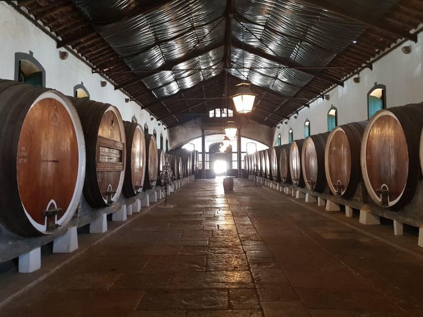 From Lisbon: Sintra Wine Experience - Why this Sintra wine-and-coast day feels so efficient