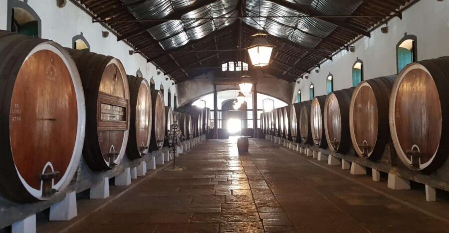 From Lisbon: Sintra Wine Experience - Cabo da Roca: the cliff-top moment you came for