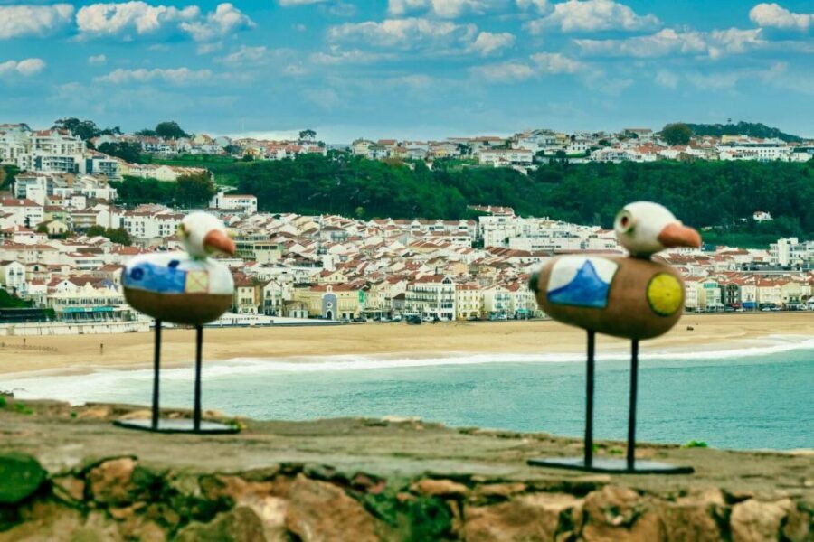 From Lisbon: Tansfer to Porto with stops until 3 cities - Why This Lisbon–Porto Transfer Feels Like More Than Transportation