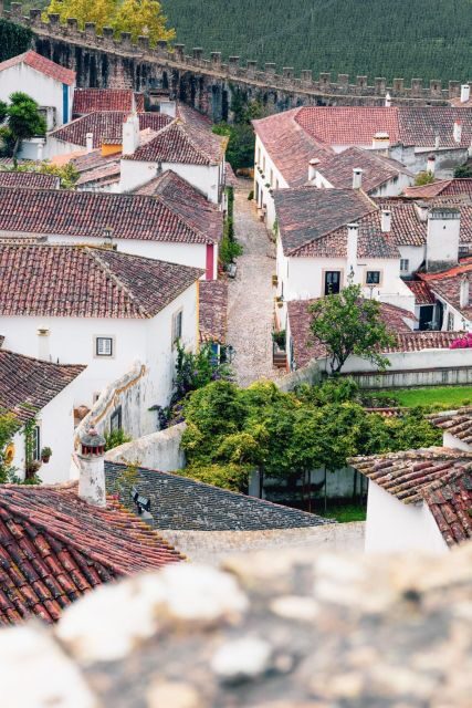 From Lisbon: Tansfer to Porto with stops until 3 cities - Aveiro and the Moliceiro Cruise: Canal Time in the Venice of Portugal
