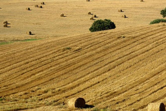 From Lisbon to Alentejo: Évora and Megaliths Full-Day Tour - Getting to Évora: the drive that sets up the day