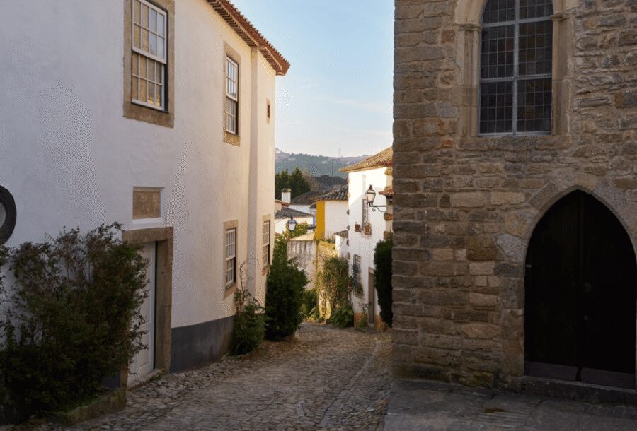 From Lisbon: Tour to Óbidos and Nazaré - Medieval Village, Sour Cherry and Iconic Beaches - Who This Tour Is Perfect For (and Who Should Skip It)