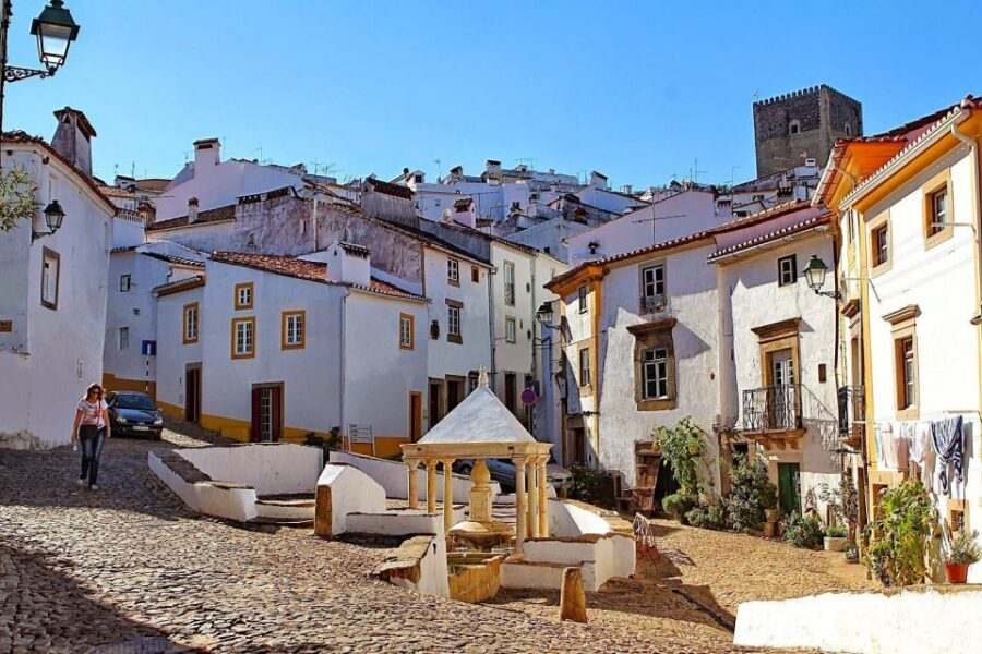 From Lisbon: Town-Hopping Transfer to Porto - Costa Nova: a brief stop in an old fishing town
