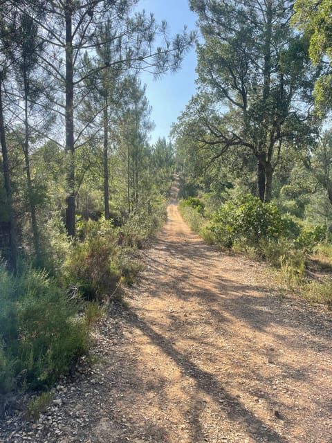 From Montemor or Évora: Guided Hike to Almendres Megalithic - Key things I’d circle on your planning list