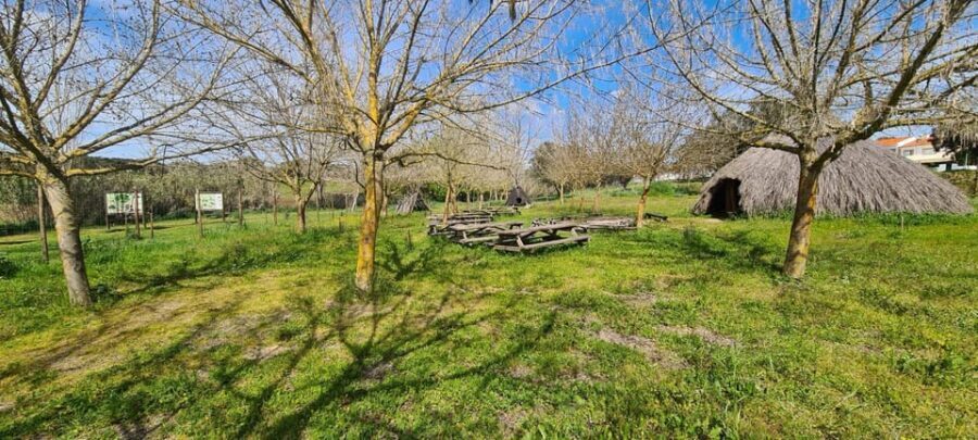 From Montemor or Évora: Guided Hike to Almendres Megalithic - The practical checklist that keeps the day pleasant