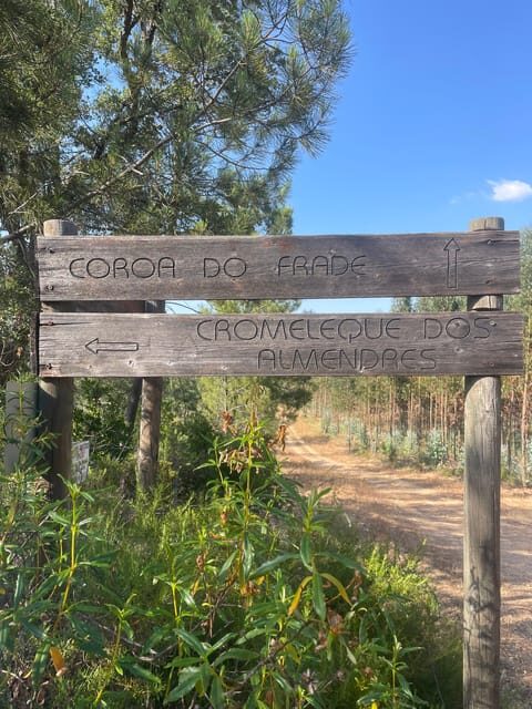 From Montemor or Évora: Guided Hike to Almendres Megalithic - Lunch in Valverde: plan on fueling, not fine dining