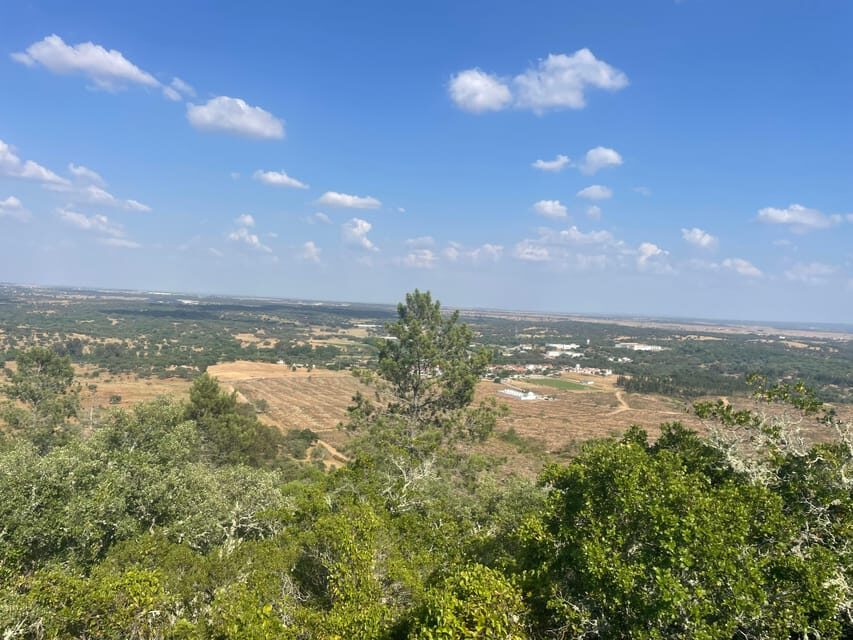 From Montemor or Évora: Guided Hike to Almendres Megalithic - Guadalupe’s Almendres Interpretive Center: turning impressions into understanding