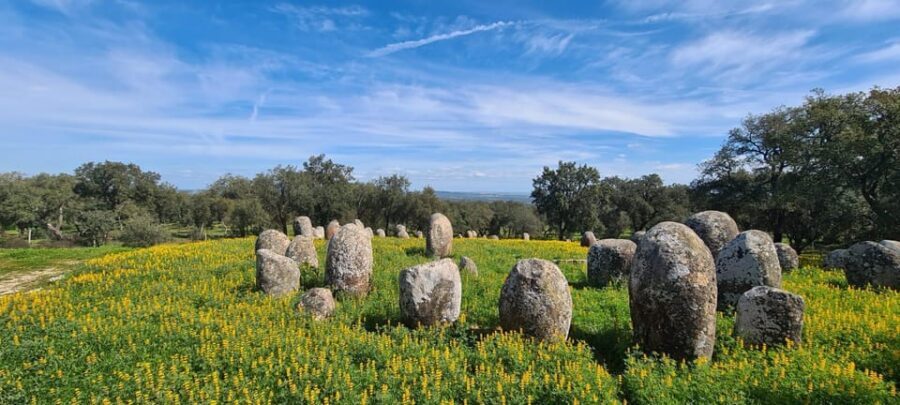 From Montemor or Évora: Guided Hike to Almendres Megalithic - Price and logistics: paying for guidance and convenience, not just walking