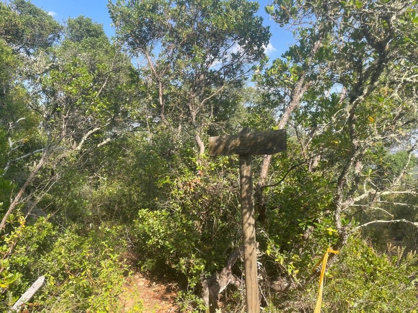 From Montemor or Évora: Guided Hike to Almendres Megalithic - The Serra de Valverde hike: marked trails, real effort, and big air