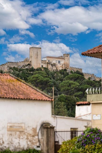 From Porto: Private Transfer to Lisbon until 3 Stops - Aveiro: canals, the moliceiro boat, and ovos moles