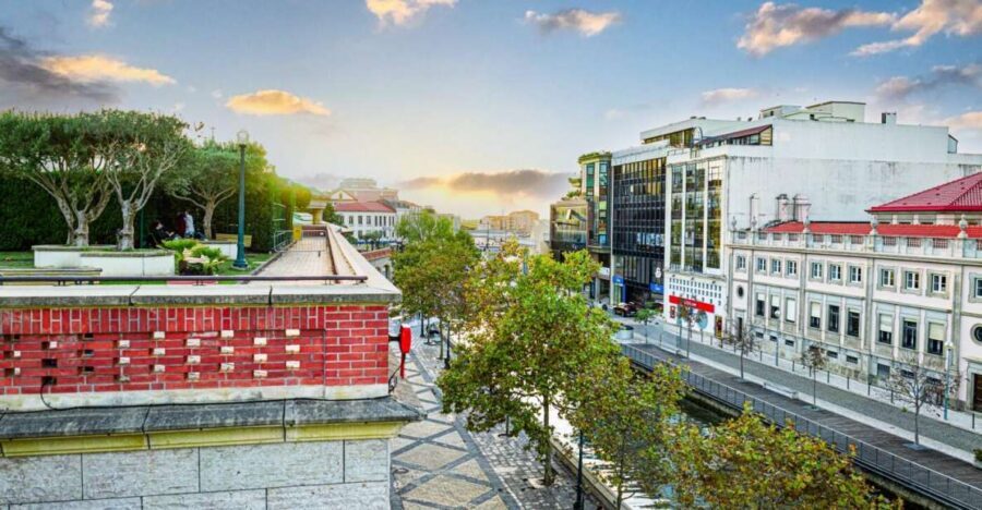 From Porto: Transfer to Lisbon with stops until 3 cities - Private Guide Energy: Why Nuno’s Style Matters
