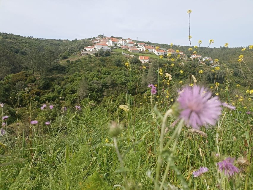 From Sintra, Mafra, or Ericeira: Hike and Wine Tour - Penedo do Lexim and the Lisbon Volcanic Complex: why this hike connects to wine
