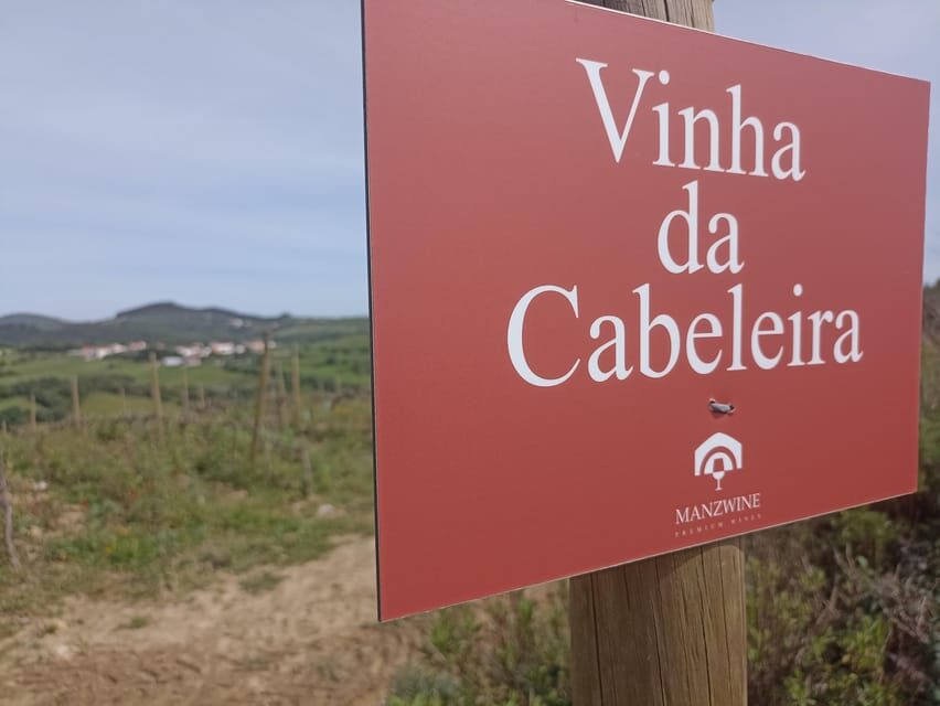 From Sintra, Mafra, or Ericeira: Hike and Wine Tour - The tasting setup: six wines, regional tapas, and local products you can actually taste