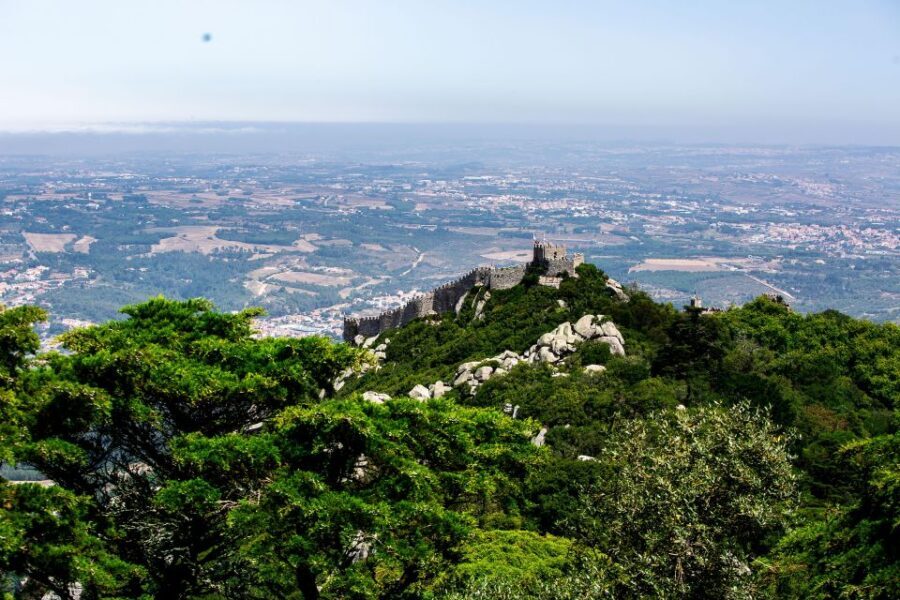 From Sintra: Pena Palace Guided Tour - Botanical Gardens Time: It’s More Than Pretty Landscaping