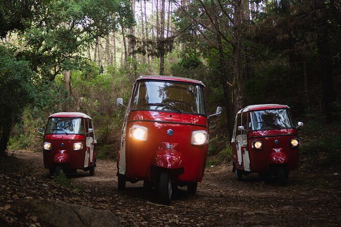 Full-Day Guided Tuk-Tuk Tour in Sintra - Quinta da Regaleira and Valverde Seteais: mysticism versus calm elegance