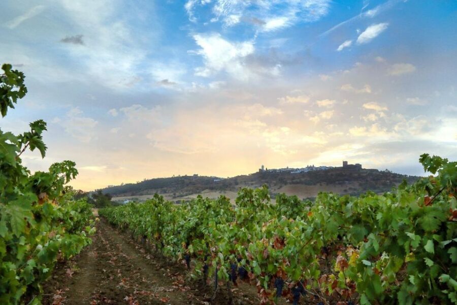 Full-Day Private Cultural Tour in Evora and Monsaraz - Key things I’d plan around