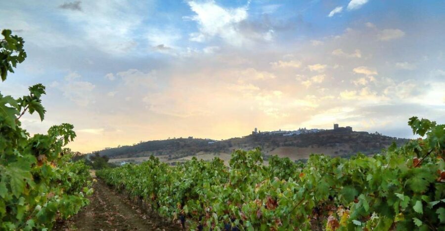 Full-Day Private Cultural Tour in Evora and Monsaraz - Évora for Two Hours: Roman-Era Roots and Old-Street Vibes