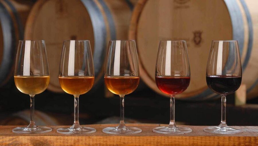 Full Day Private Wine Tour in Arrabida - José Maria da Fonseca option: how to decide if it’s worth the extra cost