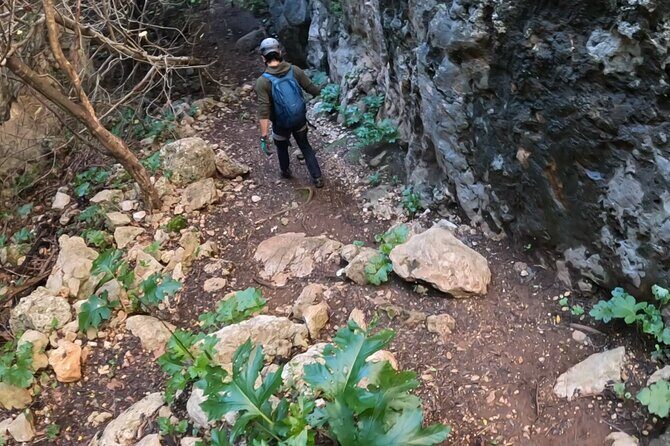 Full Day Rock Climb Adventure Trail from Lisbon with Lunch - Key highlights you’ll feel immediately