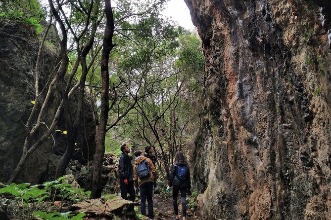 Full Day Rock Climb Adventure Trail from Lisbon with Lunch - Arrabida Natural Park: limestone cliffs and ocean views on the way
