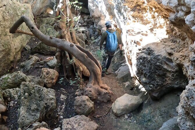 Full Day Rock Climb Adventure Trail from Lisbon with Lunch - Toast on a summit, scenic ride back, and fun facts on the road