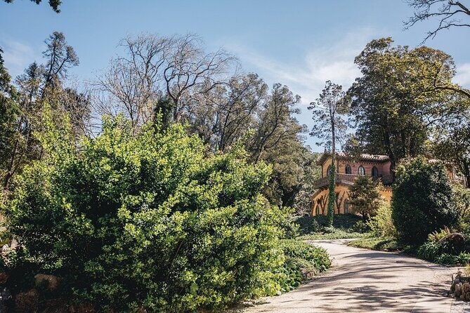 Full-Day Tour to Sintra and Cascais - Entering Sintra Village: The Quick Wandering That Sets the Stage