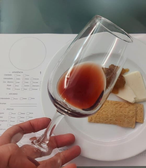 Golden Era of Évora walking & the portuguese wine tasting. - Palace of D. Manuel and the city’s later “Portuguese Kingdom” tone