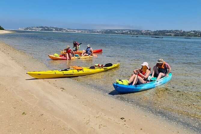 Guided Kayak Tours in the Óbidos lagoon - Stop 1 at Lagoa de Óbidos: plants, birds, and intertidal life