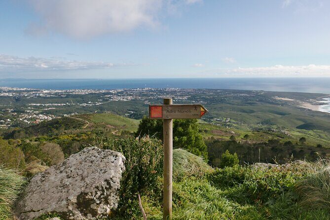 Half day adventures in the Sintra mountain - Meeting at Portela train station: easy start, clean finish