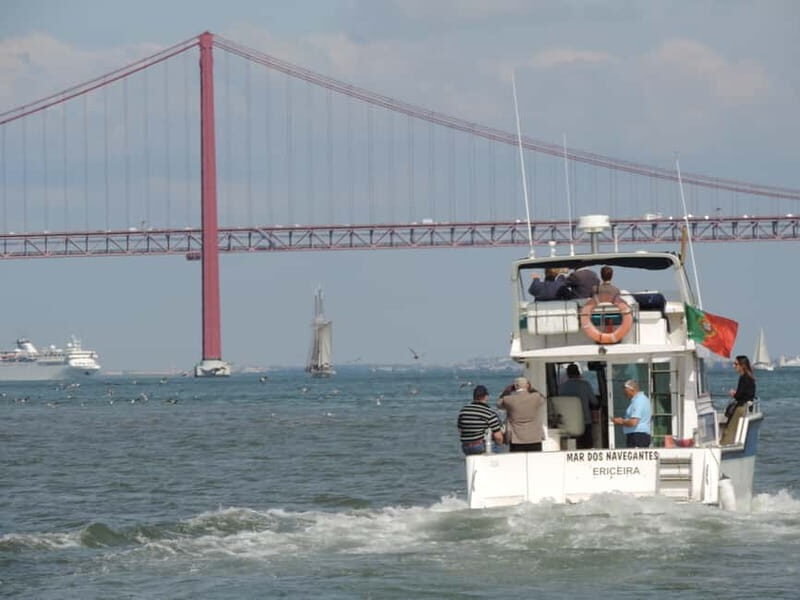 Half Day Fishing Trip - Who This Trip Suits Best (and Who Might Hesitate)
