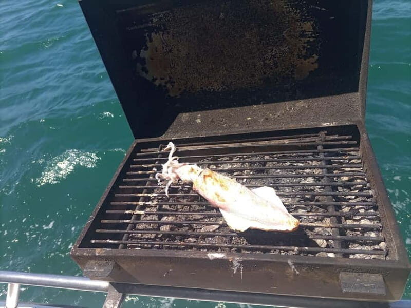 Half Day Fishing Trip - Half-Day Fishing from Marina de Cascais: What You’re Really Buying