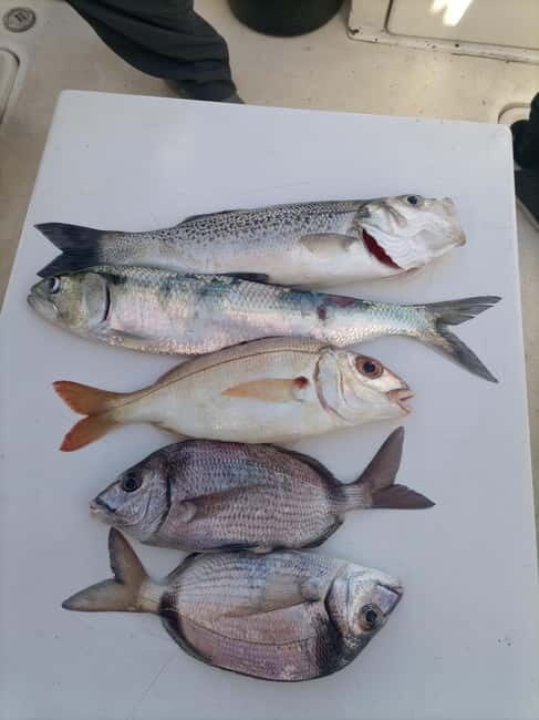Half Day Fishing Trip - Out on the Atlantic: The Cruise Part That You Don’t Want to Skip