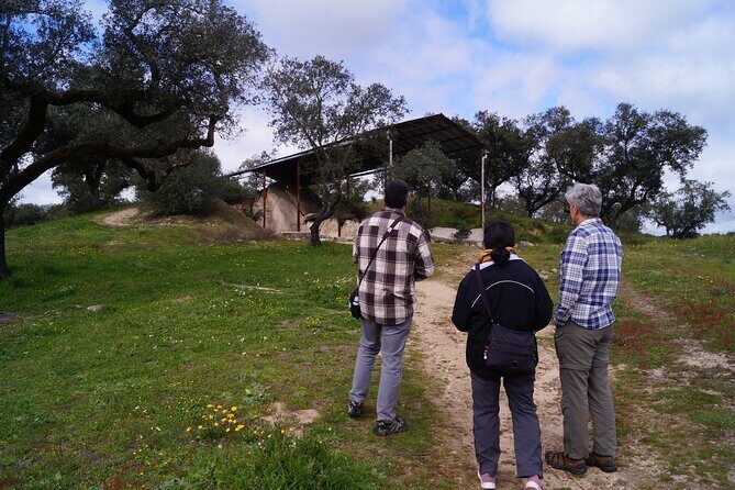 Half Day Megaliths Cromlech Tour from Evora by Archaeologists - Centro Interpretativo dos Almendres: Short Context and Time to Browse