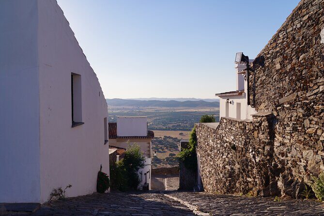 Half Day Monsaraz Tour from Evora by Archaeologists - Key highlights to plan around