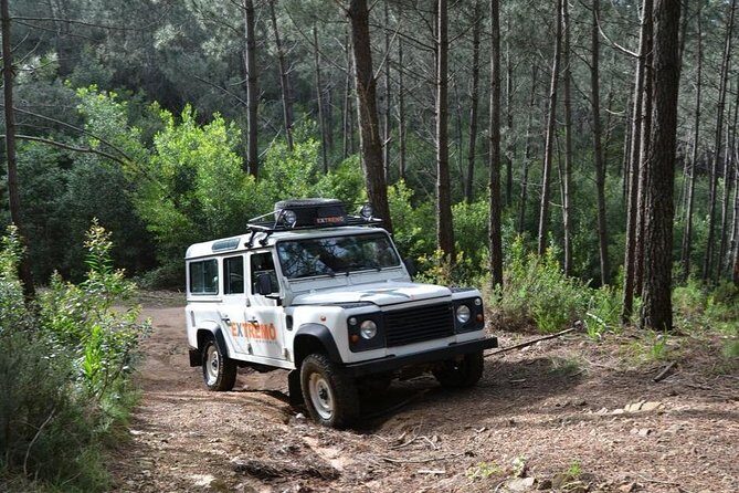 Half-day Sintra Jeep Safari - Santuario da Peninha: coastline views with real payoff