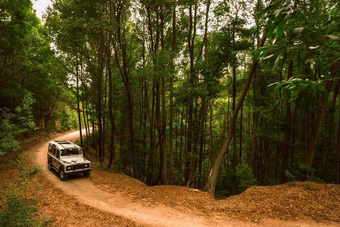 Half-day Sintra Jeep Safari - The Sintra–Cascais ride: what you actually get from the Jeep time