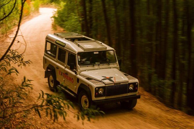 Half-day Sintra Jeep Safari - The all-important small-group feel (and why it matters in the wild)