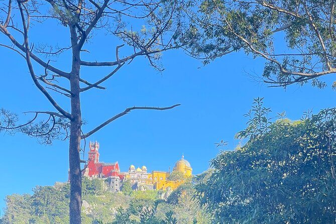 Half Day Tour in Sintra and the Coastline - Stop 2: Sintra National Palace viewpoint—context without the long inside tour
